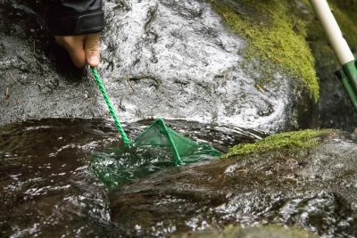 nets to catch fish and salamanders