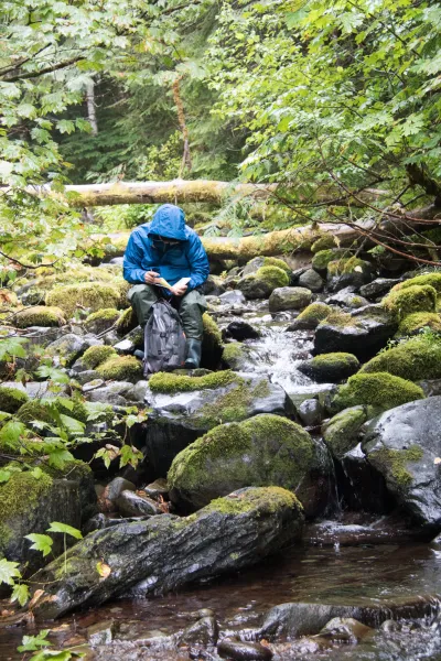 Michael Paul Nelson writing in Mack Creek