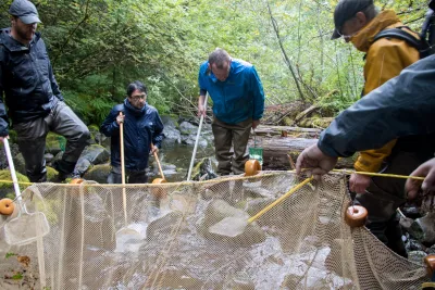 Mack Creek stream vertebrates study crew