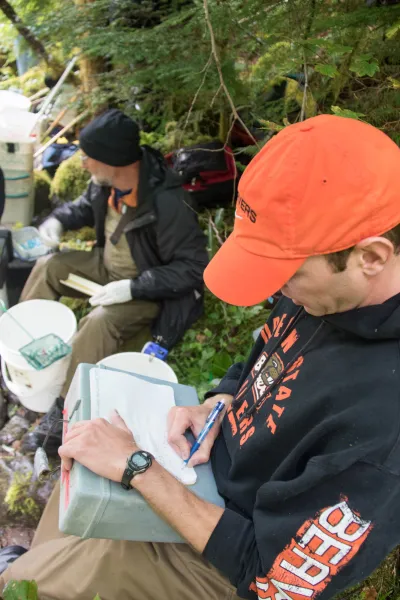 Mack Creek stream vertebrates study crew