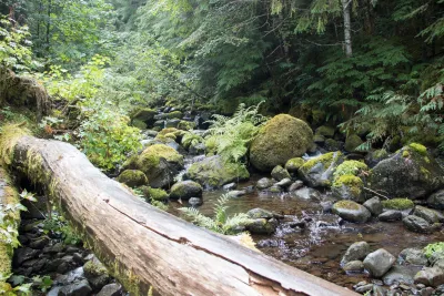 Mack Creek