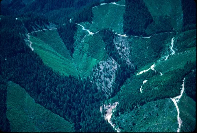 	HJ Andrews and surrounding area; Mona Creek