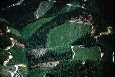 	HJ Andrews and surrounding area; Mona Creek
