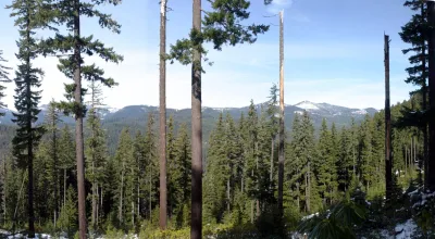 Panoramic View