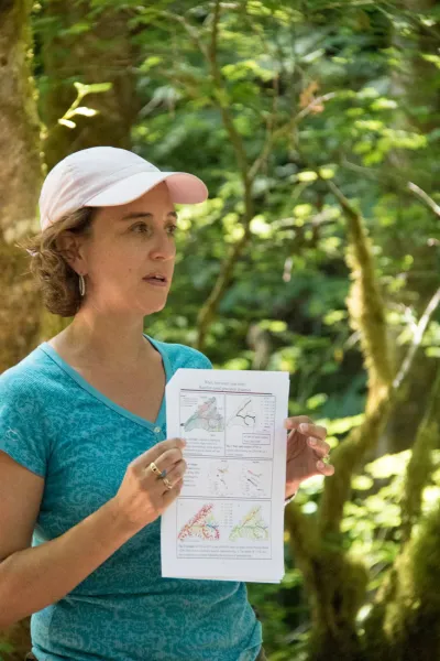 Catalina Segura presents on hydrology and isotope analyses