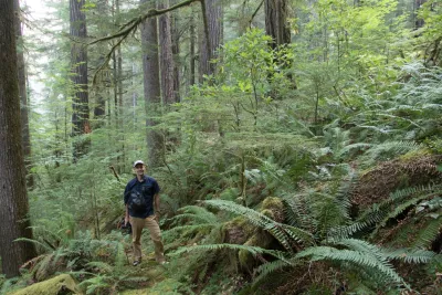 Matthew Betts in a stand of old-growth forest