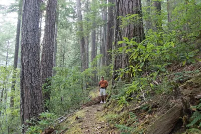 USFS PNW Information Manager Don Henshaw in a stand of old-growth forest