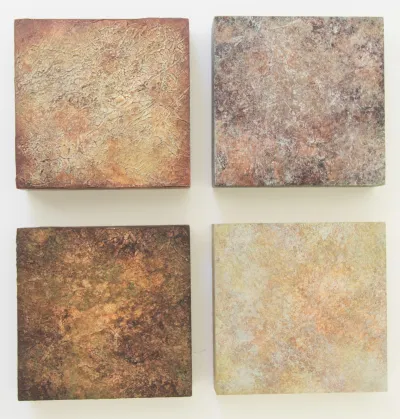 Forest Duff Studies by artist Ann Rosenthal