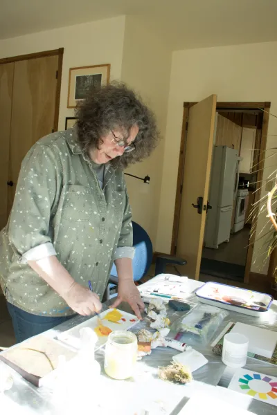 Artist Ann Rosenthal