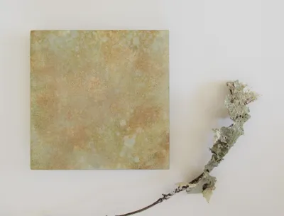 Lichen Study by artist Ann Rosenthal