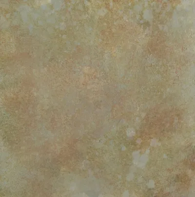 Lichen Study by artist Ann Rosenthal