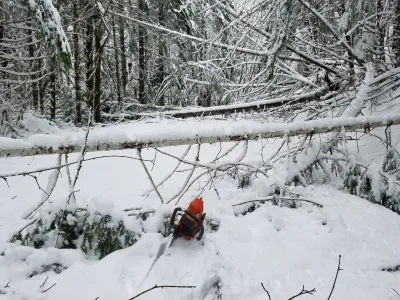 Tree fall across the 1506 Road. Chainsaw in foreground for scale.