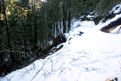 Snow and tree mortality event March 2019