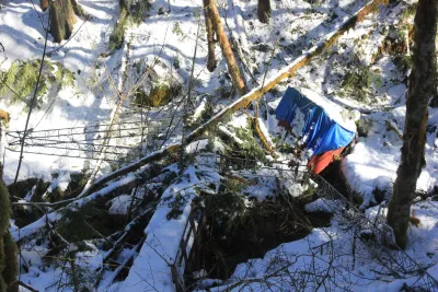 Snow and tree mortality event March 2019