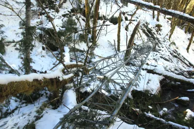 Snow and tree mortality event March 2019
