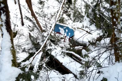 Snow and tree mortality event March 2019