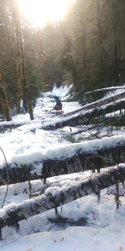 Marie Tosa clearing trees from the 132 Road, behind the headquarters facilities, between the kiosk and the pump house