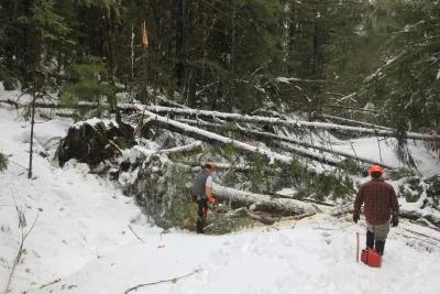 Snow and tree mortality event March 2019