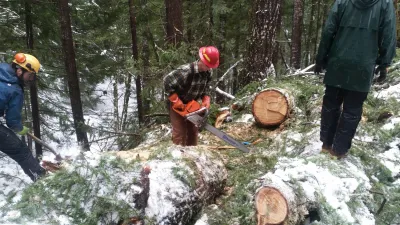 Trees block the 1506 road after the snowdown