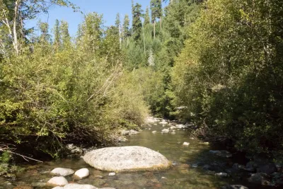 Lookout Creek Spatially Explicit Sampling of Aquatic Vertebrates