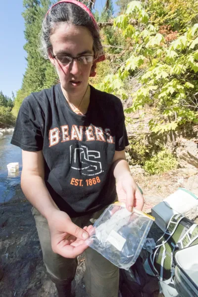 Lookout Creek Spatially Explicit Sampling of Aquatic Vertebrates