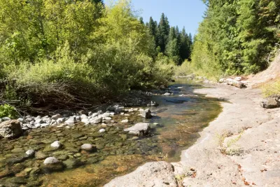 Lookout Creek Spatially Explicit Sampling of Aquatic Vertebrates