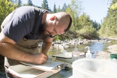 Lookout Creek Spatially Explicit Sampling of Aquatic Vertebrates