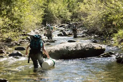 Lookout Creek Spatially Explicit Sampling of Aquatic Vertebrates