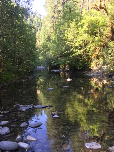 Lower Lookout 2019