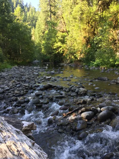 Lower Lookout 2019