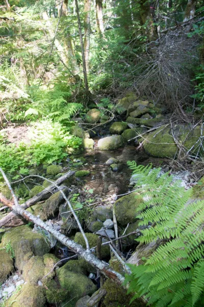 Drought Experiment