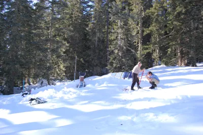 Vanilla Leaf Meadow during April 2008 snow event