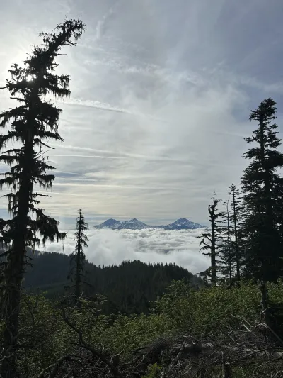 Three Sisters above the clouds