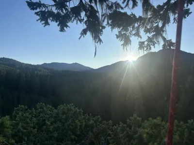 Canopy Sunrise