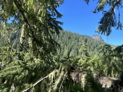 Lookout Mountain from the canopy