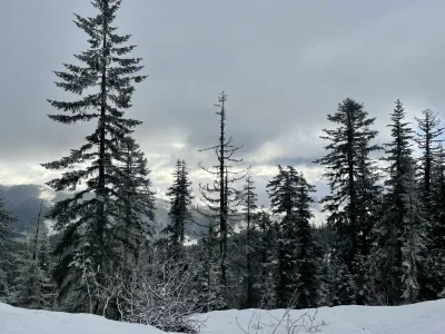 Early spring snow