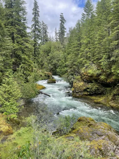 Lookout Creek