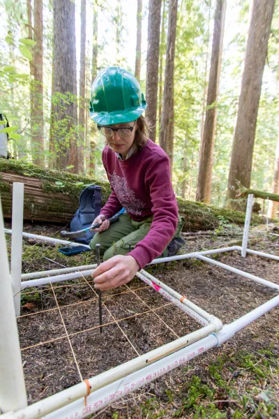 Moss Reciprocal Transplant 2023