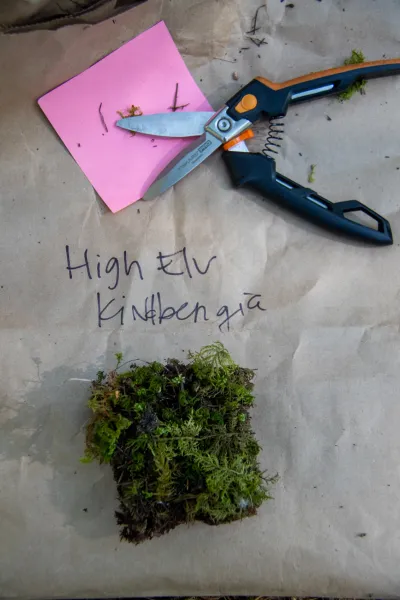 Moss Reciprocal Transplant 2023