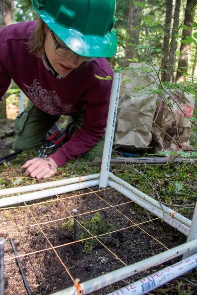 Moss Reciprocal Transplant 2023