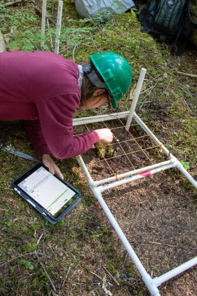 Moss Reciprocal Transplant 2023
