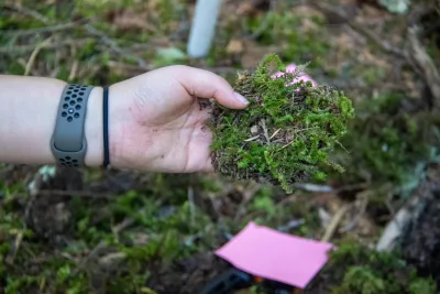 Moss Reciprocal Transplant 2023
