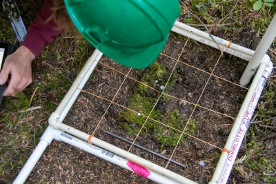 Moss Reciprocal Transplant 2023