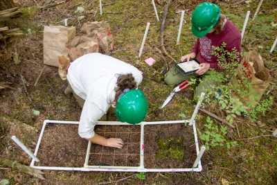 Moss Reciprocal Transplant 2023