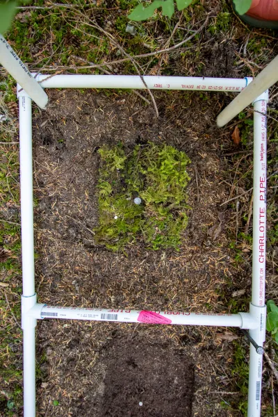 Moss Reciprocal Transplant 2023