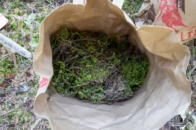 Moss Reciprocal Transplant 2023