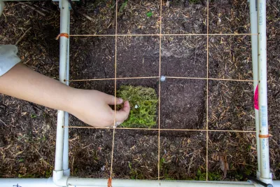 Moss Reciprocal Transplant 2023