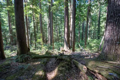 Moss Reciprocal Transplant 2023