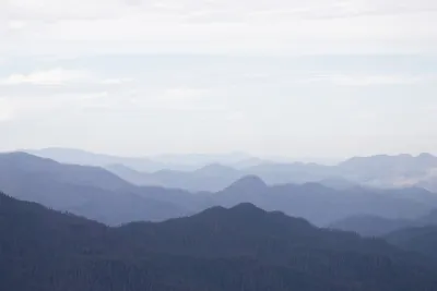 Andrews Landscape