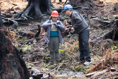 Nov 2023 field trip to HJA after Lookout Fire